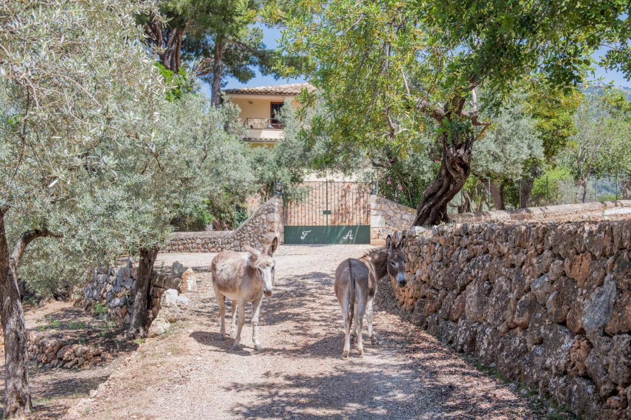 Raco De Soller Villa Luaran gambar