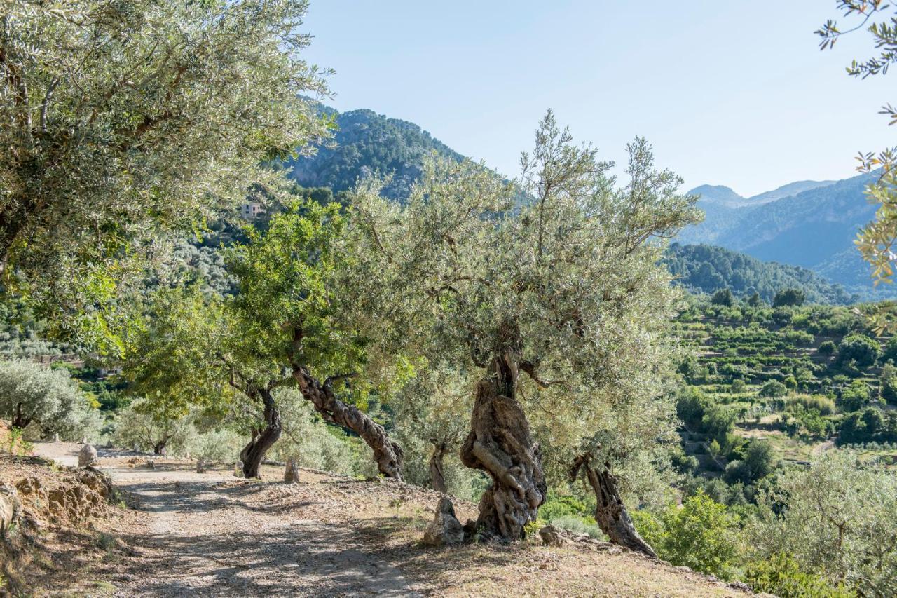 Raco De Soller Villa Luaran gambar