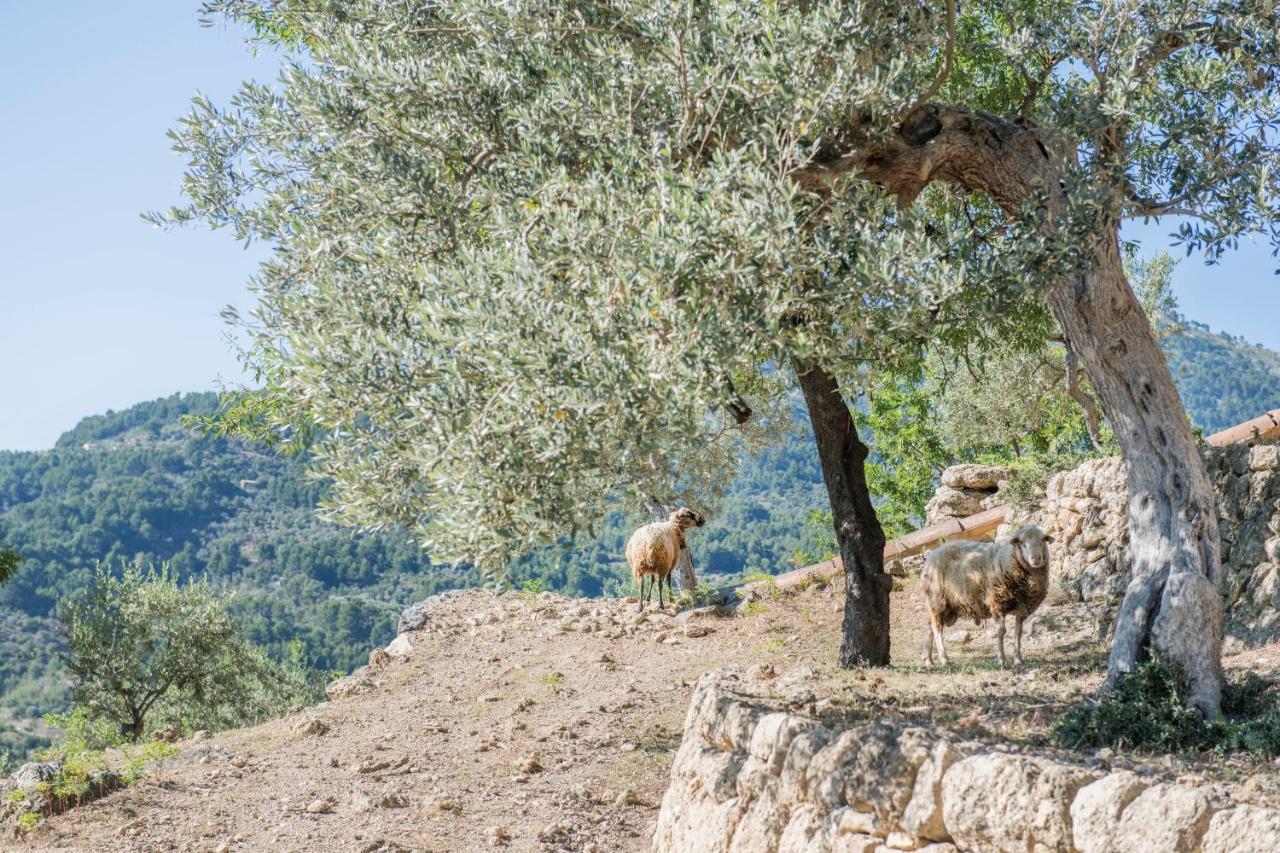 Raco De Soller Villa Luaran gambar